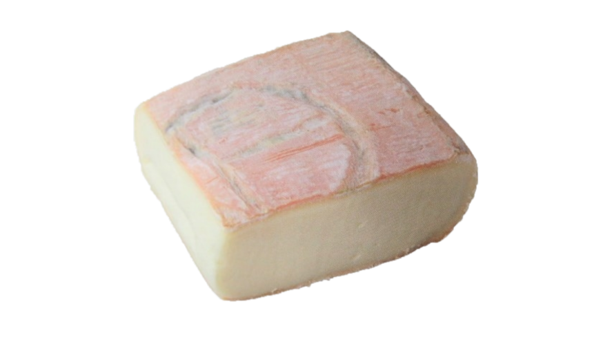 タレッジョ 美味しいチーズガイド