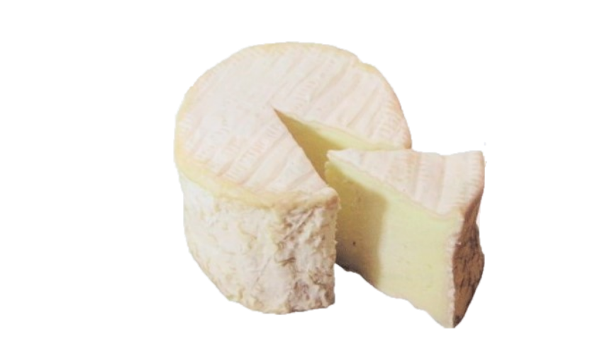 シャウルス 美味しいチーズガイド