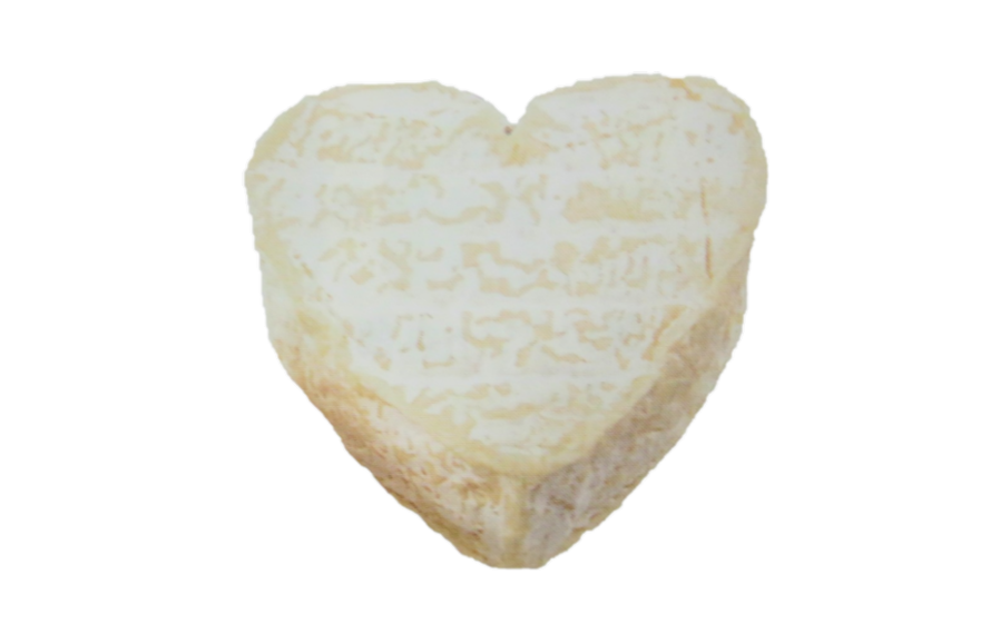 ヌーシャテル 美味しいチーズガイド