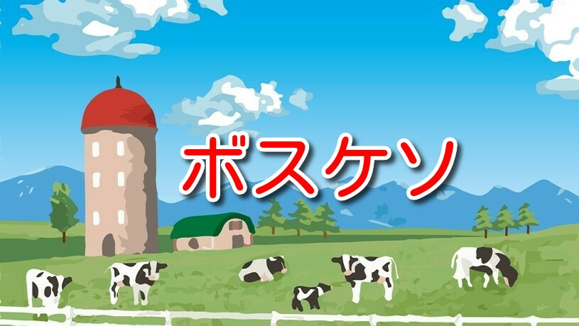 ボスケソ チーズラボ 長野県 チーズ工房 美味しいチーズガイド