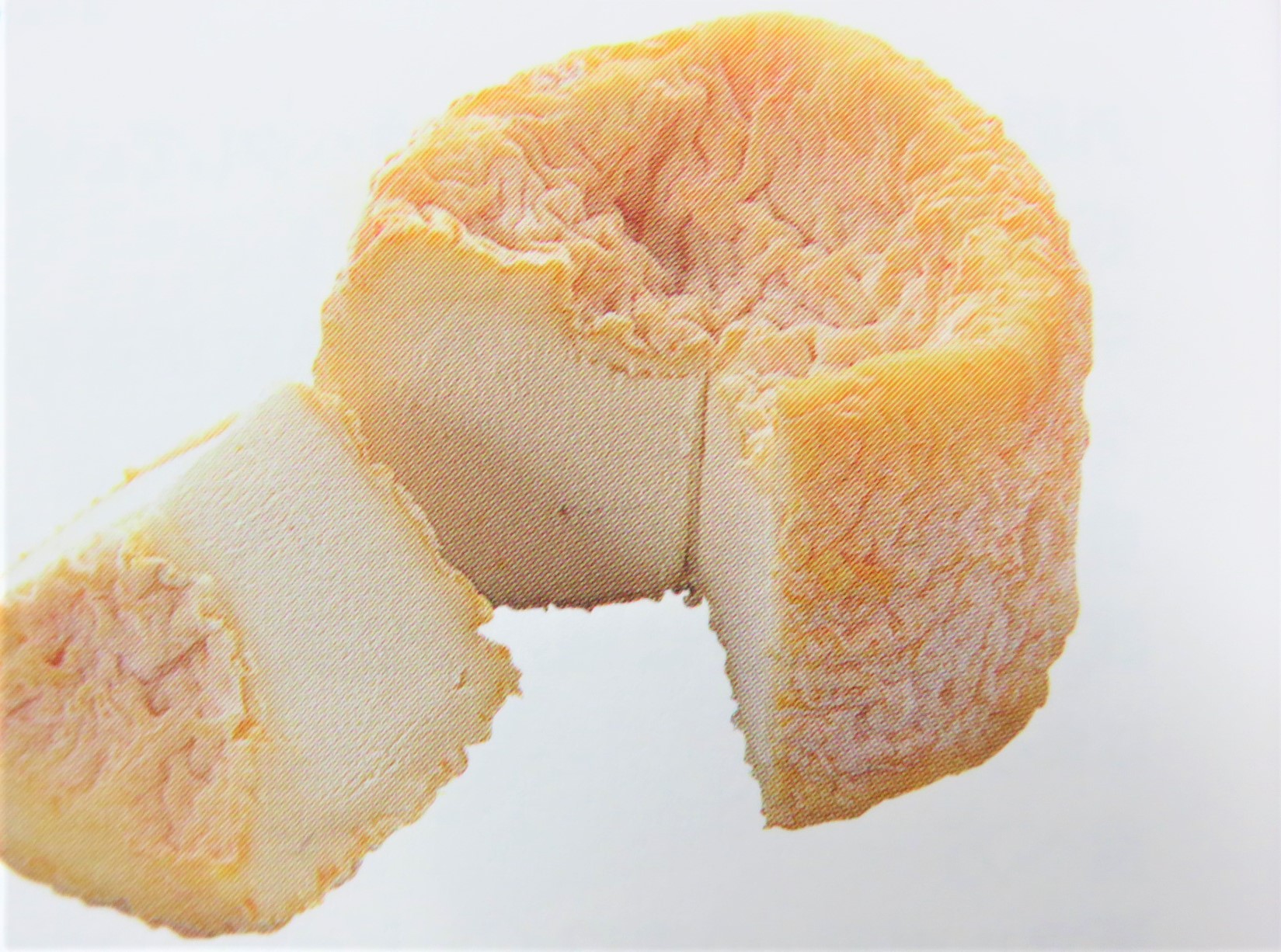 ラングル 美味しいチーズガイド