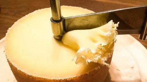 BOSKA　ボスカ　チーズカーラー　ジロール　Friends　テットドモワンヌ ☆わけありセール☆【BOSKA】 大理石製 ジロールとテット・ド
